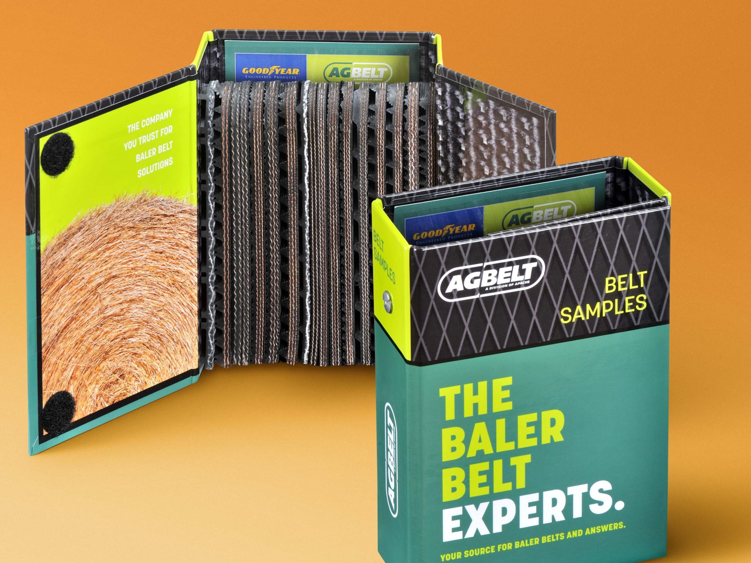 Strap set for Agbelt with Chicago style screw post